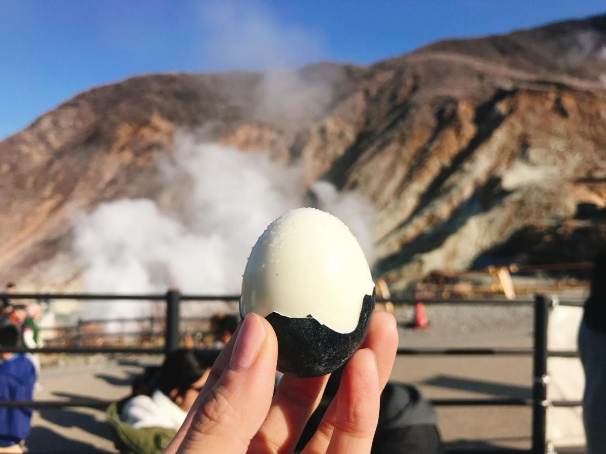 Merveille Hakone Gora Экстерьер фото